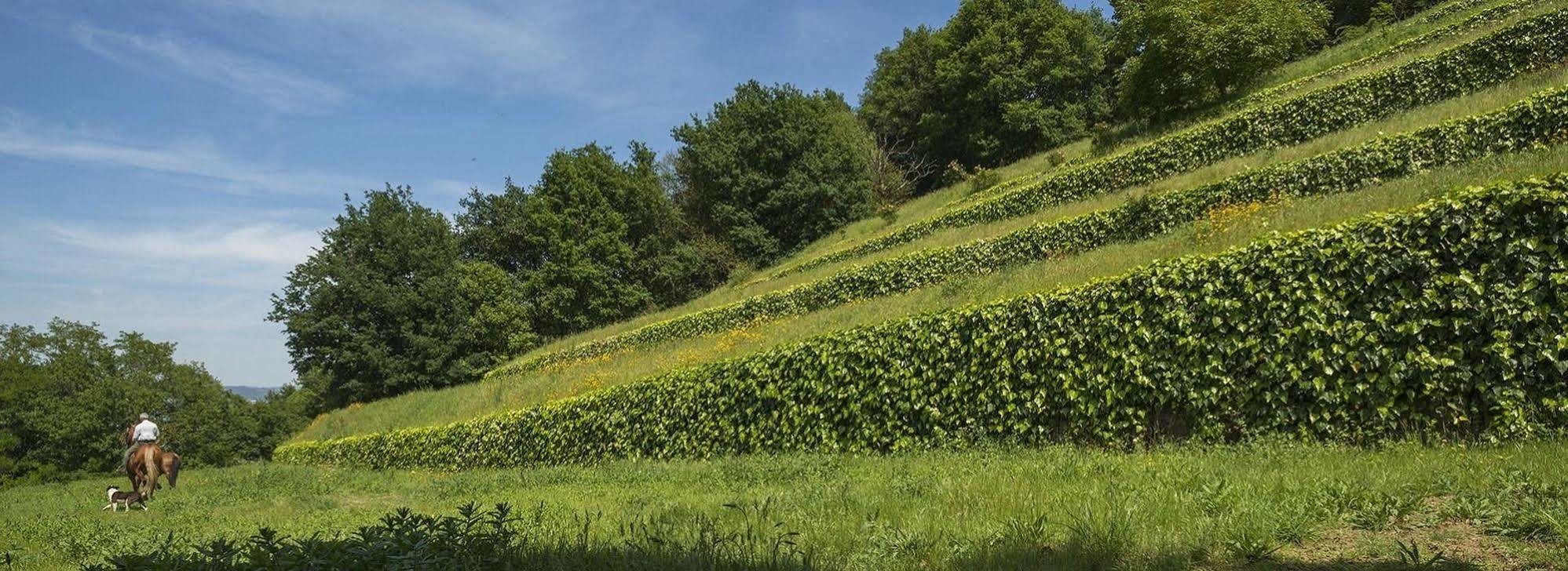 Quinta Do Fontelo Villa Vouzela Eksteriør bilde