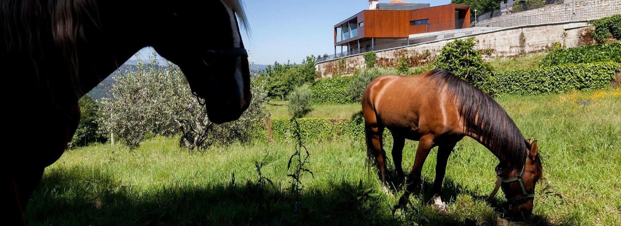 Quinta Do Fontelo Villa Vouzela Eksteriør bilde